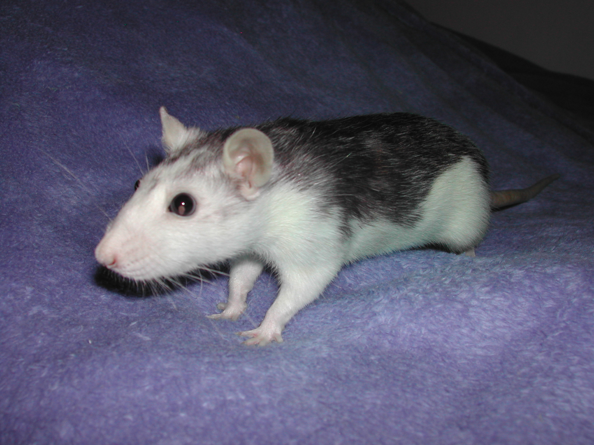 DSCN0237.JPG